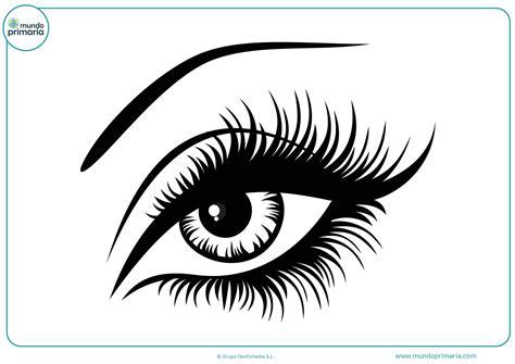Dibujo ojo colorear on line - Mundo Primaria: Aprende a Dibujar Fácil con este Paso a Paso, dibujos de Un Ojo Izquierdo, como dibujar Un Ojo Izquierdo paso a paso para colorear