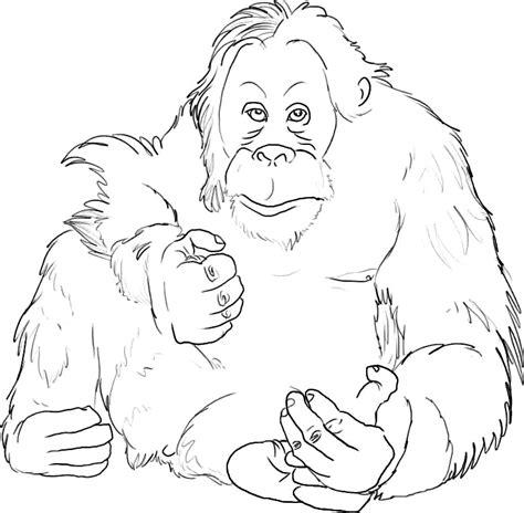 Dibujos de orangutanes » ORANGUTANPEDIA: Dibujar y Colorear Fácil, dibujos de Un Orangutan, como dibujar Un Orangutan paso a paso para colorear