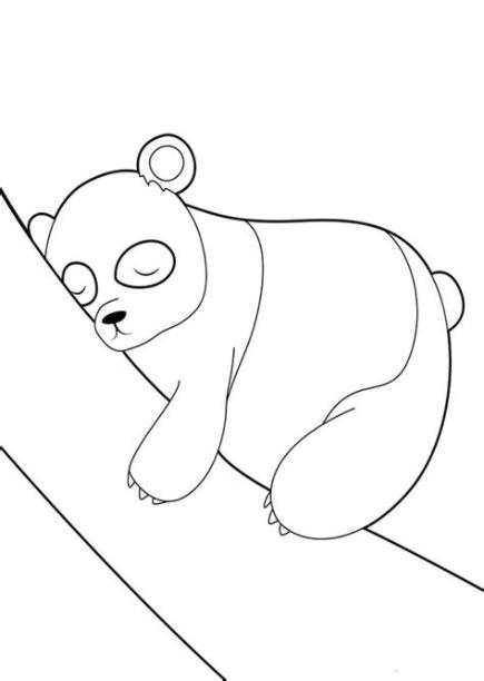 Dibujos Para Colorear Osos Escandalosos: Aprender como Dibujar y Colorear Fácil, dibujos de Un Oso Panda Realista, como dibujar Un Oso Panda Realista para colorear