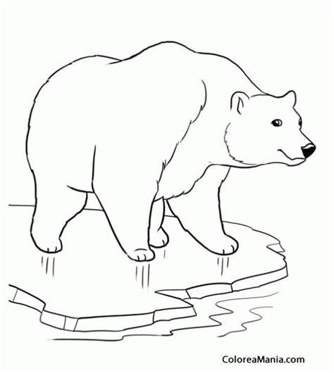 Oso Polar Para Colorear | Coloring pages. Colorful: Aprender a Dibujar y Colorear Fácil, dibujos de Un Oso Polar Para Niños, como dibujar Un Oso Polar Para Niños paso a paso para colorear