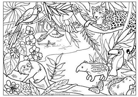 ANIMALES DE LA SELVA BRASILEÑA | Animales de la selva: Dibujar y Colorear Fácil con este Paso a Paso, dibujos de Un Paisaje De Selva, como dibujar Un Paisaje De Selva para colorear e imprimir