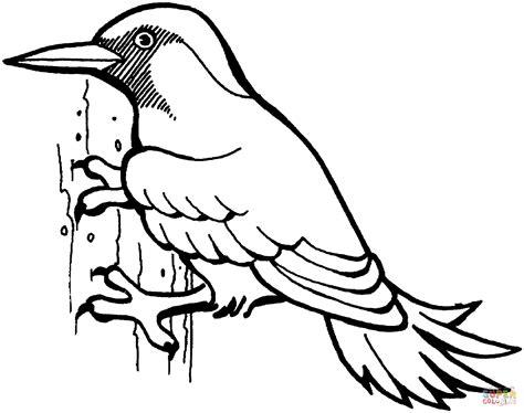 Dibujo de Pájaro carpintero para colorear | Dibujos para: Dibujar Fácil con este Paso a Paso, dibujos de Un Pajaro Carpintero, como dibujar Un Pajaro Carpintero para colorear e imprimir