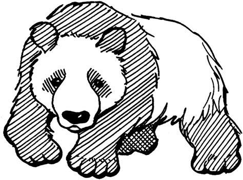 Dibujos de PANDAS (Para Colorear y Pintar): Aprende como Dibujar Fácil con este Paso a Paso, dibujos de Un Panda Realista, como dibujar Un Panda Realista paso a paso para colorear