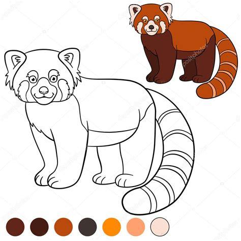 Dibujo para colorear: panda rojo. Pequeño lindo panda: Aprende a Dibujar Fácil, dibujos de Un Panda Rojo, como dibujar Un Panda Rojo para colorear e imprimir