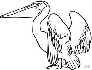 Dibujo de Pelícano 9 para colorear | Dibujos para: Dibujar Fácil con este Paso a Paso, dibujos de Un Pelicano, como dibujar Un Pelicano para colorear e imprimir