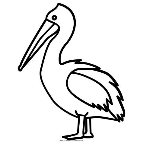 Dibujo De Pelícano Para Colorear - Ultra Coloring Pages: Dibujar Fácil con este Paso a Paso, dibujos de Un Pelicano, como dibujar Un Pelicano para colorear
