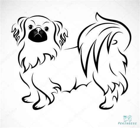 Векторное изображение собаки: Aprender a Dibujar Fácil con este Paso a Paso, dibujos de Un Pequines, como dibujar Un Pequines paso a paso para colorear