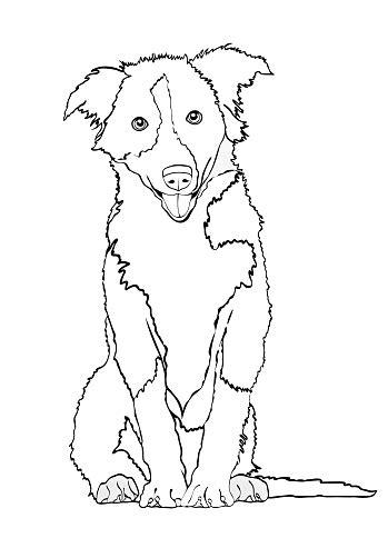 Ilustración de Perro Vector Croquis Bosquejo Libro Para: Dibujar Fácil, dibujos de Un Perro Border Collie, como dibujar Un Perro Border Collie para colorear e imprimir