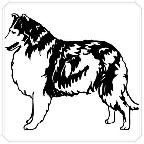 dibujo perro french poodle 🥇 Biblioteca de imágenes online: Dibujar Fácil, dibujos de Un Perro Border Collie, como dibujar Un Perro Border Collie paso a paso para colorear