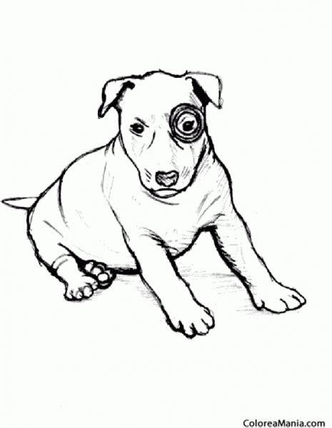 Bull Terrier Para Colorear: Aprender a Dibujar Fácil, dibujos de Un Perro Bull Terrier, como dibujar Un Perro Bull Terrier paso a paso para colorear