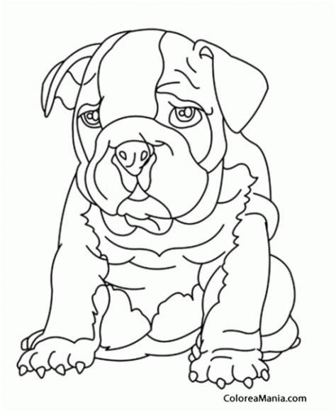 Dibujos Para Colorear Bulldog: Dibujar y Colorear Fácil, dibujos de Un Perro Bulldog Ingles, como dibujar Un Perro Bulldog Ingles paso a paso para colorear