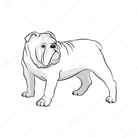 Imágenes: bulldog ingles para dibujar | Bulldog Inglés: Dibujar Fácil, dibujos de Un Perro Bulldog Ingles, como dibujar Un Perro Bulldog Ingles para colorear