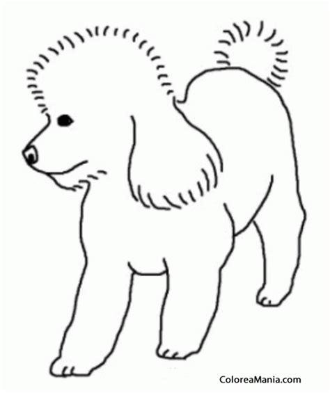Colorear Silueta Perro Poodle (Animales Domésticos: Aprende como Dibujar Fácil, dibujos de Un Perro Caniche Toy, como dibujar Un Perro Caniche Toy paso a paso para colorear