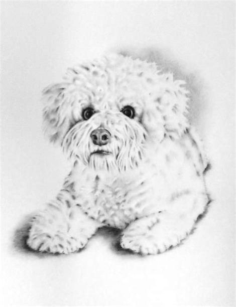 Original Kohlezeichnung Ihres Haustieres auf Bristol-Board: Aprender como Dibujar y Colorear Fácil, dibujos de Un Perro Con Carboncillo, como dibujar Un Perro Con Carboncillo para colorear