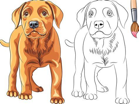 Perro colorear: cómo realizar el dibujo de un perro: Dibujar y Colorear Fácil con este Paso a Paso, dibujos de Un Perro Con Lineas, como dibujar Un Perro Con Lineas para colorear