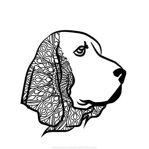 Mandalas De Perros 24 - Mandalas para Colorear: Aprende a Dibujar Fácil, dibujos de Un Perro Difícil, como dibujar Un Perro Difícil para colorear