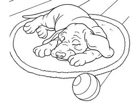 COLOREA TUS DIBUJOS: Perro durmiendo en tapete para colorear: Aprender a Dibujar Fácil, dibujos de Un Perro Durmiendo, como dibujar Un Perro Durmiendo paso a paso para colorear