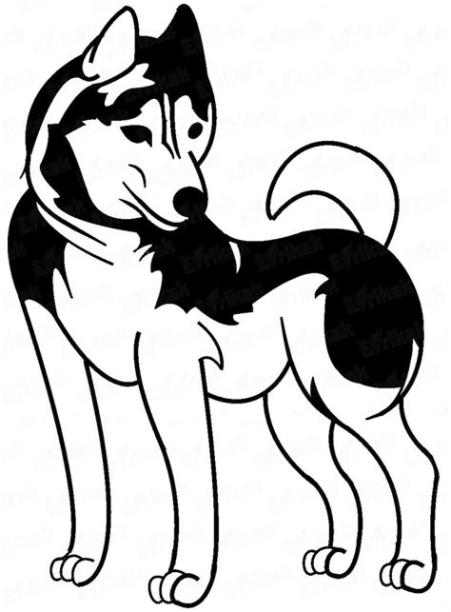 Dibujos De Husky Siberiano Para Colorear: Dibujar Fácil con este Paso a Paso, dibujos de Un Perro Husky Kawaii, como dibujar Un Perro Husky Kawaii para colorear
