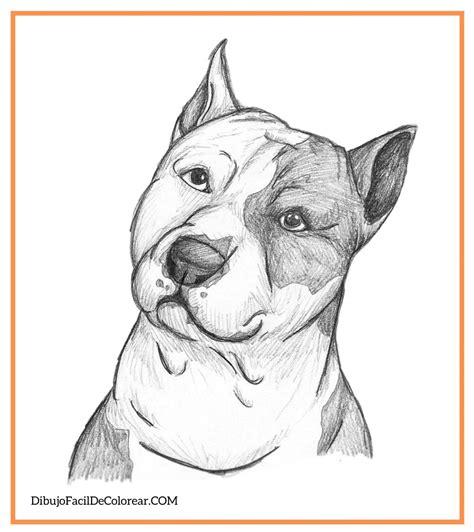 🐶Dibujos de Perros Fácil Para Colorear 🎨: Dibujar Fácil, dibujos de Un Perro Pitbull Realista, como dibujar Un Perro Pitbull Realista para colorear