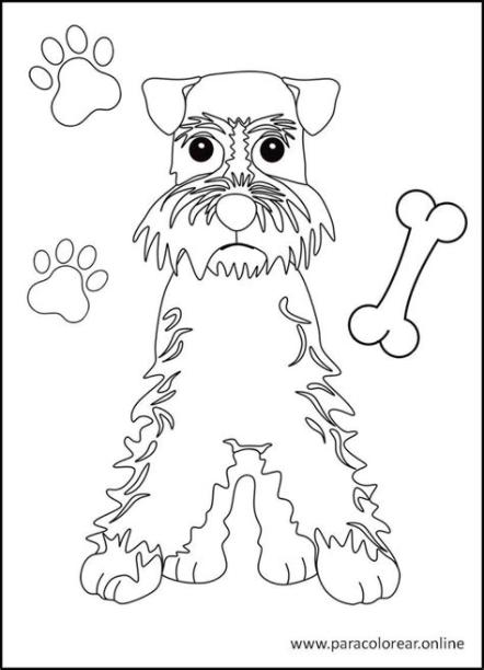 Los mejores Dibujos de Perros para Colorear Imprimir y: Aprender como Dibujar y Colorear Fácil, dibujos de Un Perro Profesional, como dibujar Un Perro Profesional paso a paso para colorear