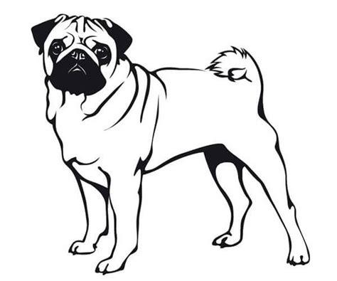 35 imágenes de perros para colorear e imprimir | Cancitos: Aprende a Dibujar y Colorear Fácil con este Paso a Paso, dibujos de Un Perro Real, como dibujar Un Perro Real para colorear
