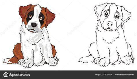 Imagenes Para Colorear De Perros San Bernardo - Impresion: Aprende a Dibujar Fácil, dibujos de Un Perro San Bernardo, como dibujar Un Perro San Bernardo para colorear e imprimir