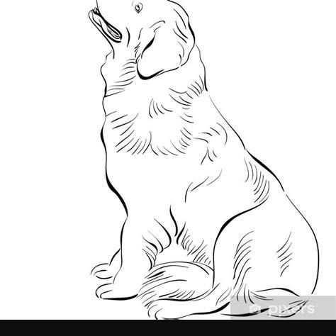 Vinilo Pixerstick Perro dibujo vectorial Terranova raza: Aprender como Dibujar Fácil, dibujos de Un Perro Sentado De Frente, como dibujar Un Perro Sentado De Frente para colorear e imprimir