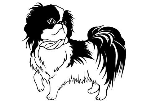 Imagenes De Perros Para Colorear E Imprimir: Dibujar y Colorear Fácil con este Paso a Paso, dibujos de Un Perro Shih Tzu, como dibujar Un Perro Shih Tzu para colorear e imprimir