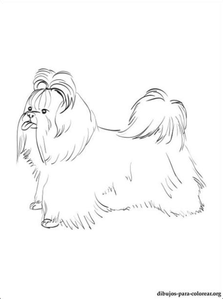 Imagenes De Perros Shih Tzu Para Colorear - Impresion gratuita: Dibujar Fácil, dibujos de Un Perro Shih Tzu, como dibujar Un Perro Shih Tzu paso a paso para colorear