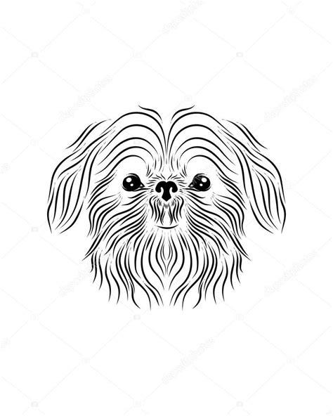 Imágenes: huellitas de perro para colorear | Shih Tzu: Aprende a Dibujar y Colorear Fácil, dibujos de Un Perro Shih Tzu, como dibujar Un Perro Shih Tzu para colorear