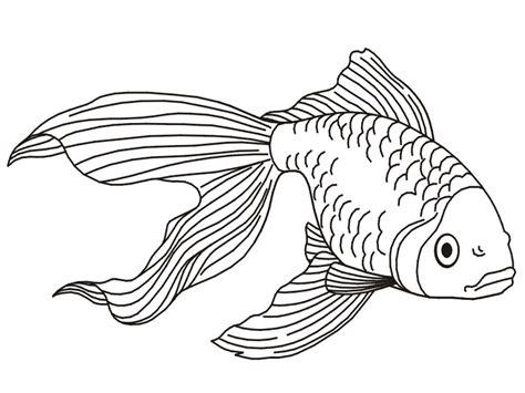 páginas para colorear de peces de colores para imprimir: Aprende a Dibujar Fácil, dibujos de Un Pez Dorado, como dibujar Un Pez Dorado para colorear e imprimir