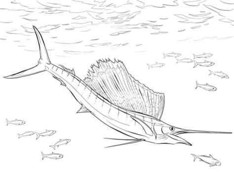 Dibujo de Pez Vela del Atlántico para colorear | Dibujos: Aprender a Dibujar Fácil con este Paso a Paso, dibujos de Un Pez Vela, como dibujar Un Pez Vela para colorear e imprimir