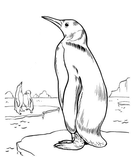 Delfines realistas para dibujar - Imagui: Dibujar Fácil, dibujos de Un Pinguino Realista, como dibujar Un Pinguino Realista paso a paso para colorear