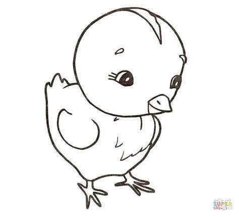 Dibujo de Pollito para colorear | Dibujos para colorear: Aprende como Dibujar Fácil, dibujos de Un Pollo, como dibujar Un Pollo paso a paso para colorear