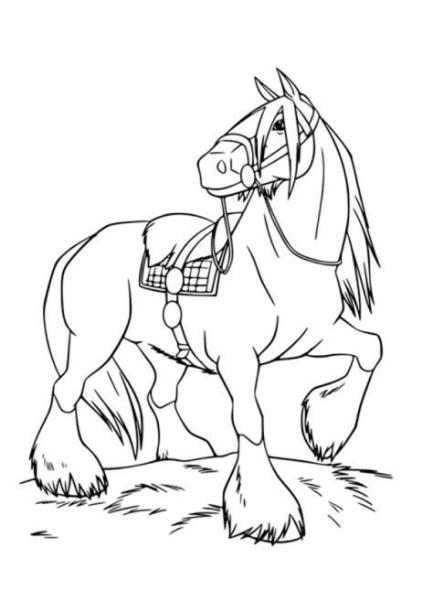 Dibujo de caballo de Potro 【2021】: Aprender a Dibujar y Colorear Fácil, dibujos de Un Potro, como dibujar Un Potro para colorear