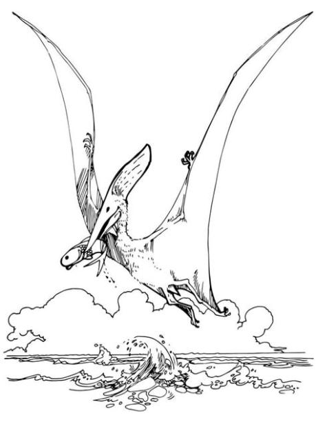 Dibujos para colorear: Pteranodon imprimible. gratis. para: Aprender a Dibujar Fácil con este Paso a Paso, dibujos de Un Pteranodon, como dibujar Un Pteranodon para colorear e imprimir