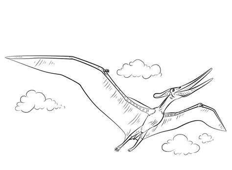 Dibujos para colorear: Pteranodon imprimible. gratis. para: Aprender a Dibujar y Colorear Fácil, dibujos de Un Pteranodon, como dibujar Un Pteranodon para colorear