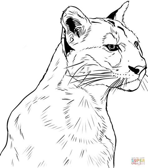 Face of Puma coloring page | Free Printable Coloring Pages: Aprender como Dibujar Fácil, dibujos de Un Puma Realista, como dibujar Un Puma Realista paso a paso para colorear