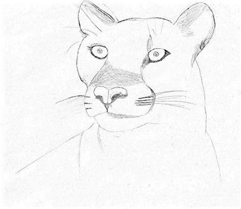 Puma para dibujar facil - Imagui: Dibujar y Colorear Fácil, dibujos de Un Puma Realista, como dibujar Un Puma Realista para colorear