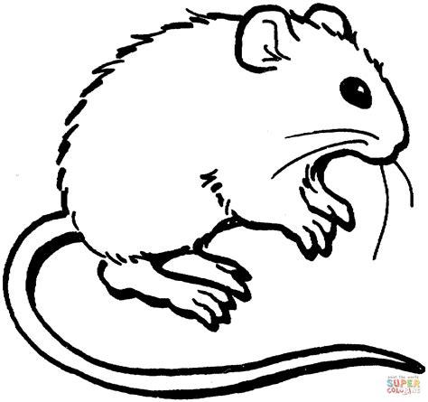 Dibujo de Pequeño Ratón para colorear | Dibujos para: Dibujar y Colorear Fácil, dibujos de Un Raton Pequeño, como dibujar Un Raton Pequeño para colorear e imprimir