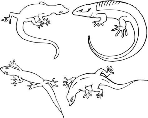 Imagenes reptiles para colorear - Imagui: Aprende como Dibujar Fácil, dibujos de Un Reptil Para Niños, como dibujar Un Reptil Para Niños paso a paso para colorear