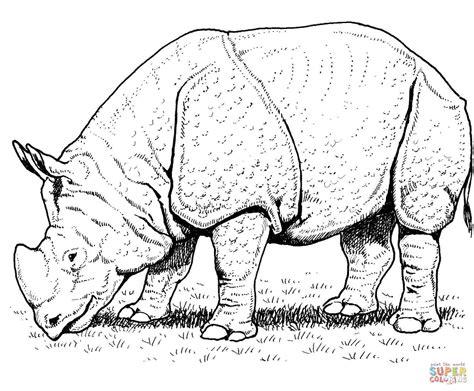 Dibujo de Rinoceronte Indio para colorear | Dibujos para: Dibujar y Colorear Fácil con este Paso a Paso, dibujos de Un Rinoceronte Realista, como dibujar Un Rinoceronte Realista para colorear e imprimir