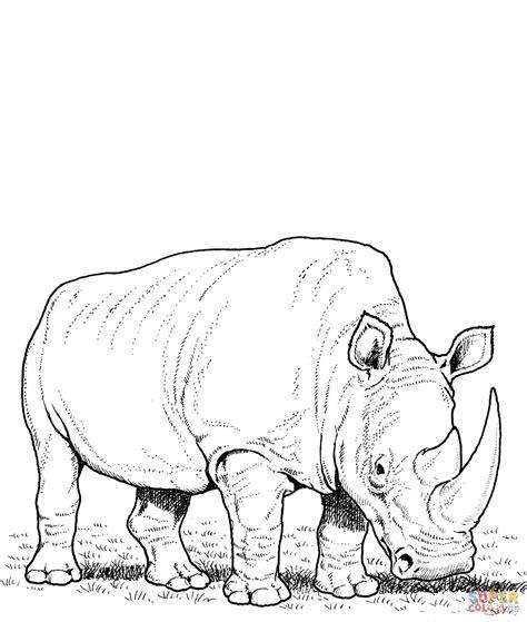 Rhinos Coloring Pages - Coloring Home: Dibujar Fácil, dibujos de Un Rinoceronte Realista, como dibujar Un Rinoceronte Realista para colorear