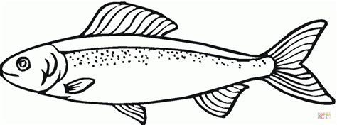 Pez Salmon para colorear - Rincon Util: Dibujar Fácil, dibujos de Un Salmon, como dibujar Un Salmon para colorear e imprimir