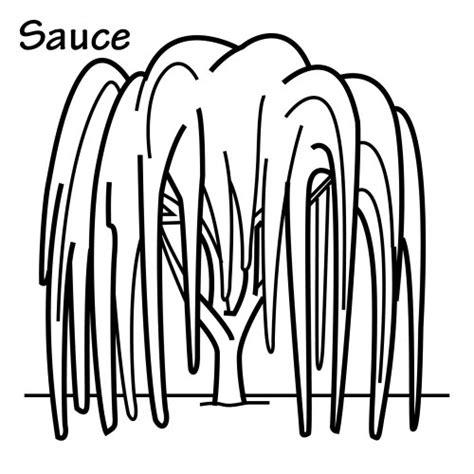 DIBUJOS DE SAUCES PARA COLOREAR: Dibujar y Colorear Fácil con este Paso a Paso, dibujos de Un Sauce, como dibujar Un Sauce para colorear e imprimir