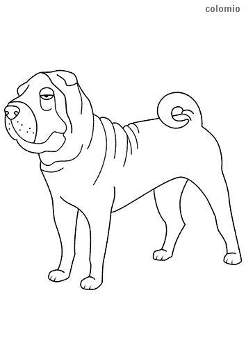 Dibujos de Perros para colorear » Imágenes de Perro para: Aprender como Dibujar Fácil con este Paso a Paso, dibujos de Un Sharpei, como dibujar Un Sharpei paso a paso para colorear
