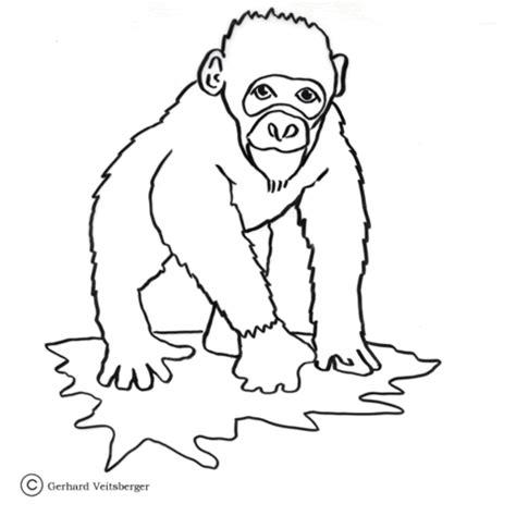 Dibujo de Simio Chimpancé para colorear | Dibujos para: Aprende a Dibujar Fácil con este Paso a Paso, dibujos de Un Simio, como dibujar Un Simio paso a paso para colorear