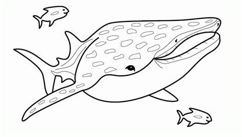 Tiburón ballena para colorear - Imagui: Aprender como Dibujar y Colorear Fácil con este Paso a Paso, dibujos de Un Tiburon Ballena, como dibujar Un Tiburon Ballena para colorear e imprimir