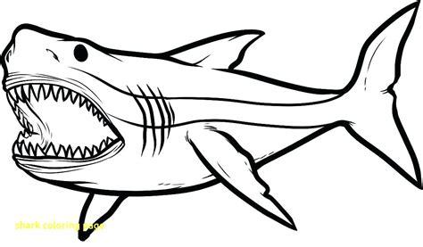 Megalodon Shark Drawing at PaintingValley.com | Explore: Dibujar Fácil, dibujos de Un Tiburon Megalodon, como dibujar Un Tiburon Megalodon paso a paso para colorear