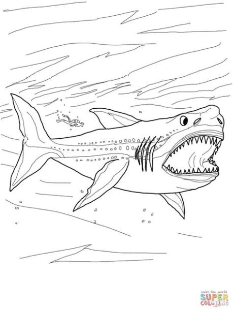 Dibujo de Tiburón Megalodonte para colorear | Dibujos: Dibujar y Colorear Fácil con este Paso a Paso, dibujos de Un Tiburon Megalodon, como dibujar Un Tiburon Megalodon para colorear